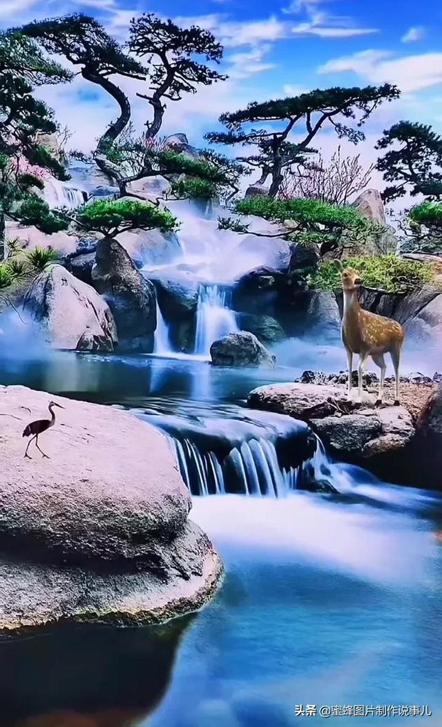 漆黑的森林逃脱